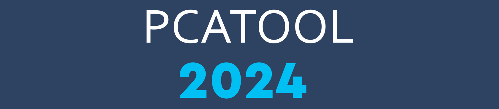 Relatório Final “PCATOOL RIO – 2024”